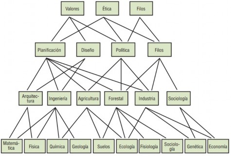 Diagrama, Forma  Descrição gerada automaticamente 